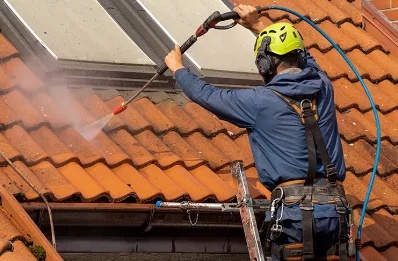 Démoussage et hydrofuge de toiture à Dramelay
